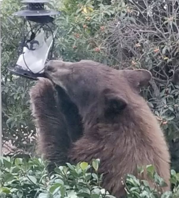 Please Bear With Us.... 