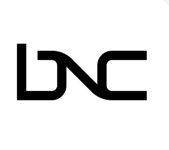 The Bankruptcy Filing Of Black News Channel 