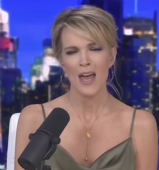 Megyn Kelly Rants About Airline That Lost Her Luggage