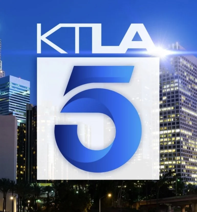 LA Anchor Suspended 