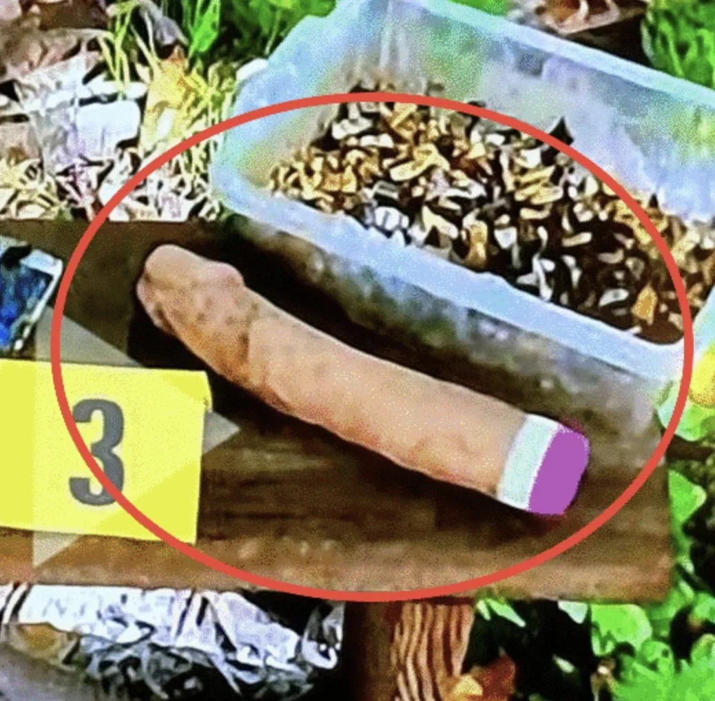 Dildo on Nightly News 