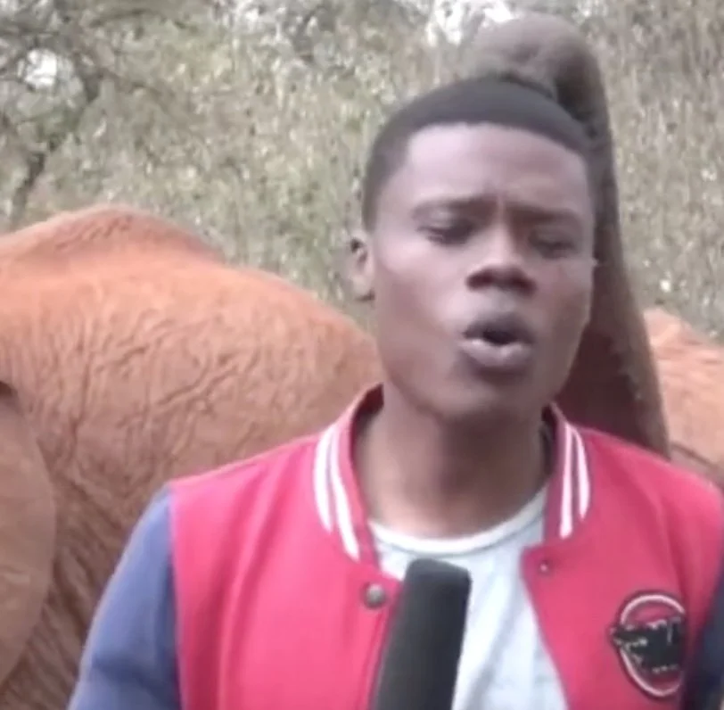 This is the Best Video You Will See Today...