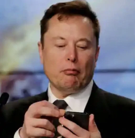 Musk Let's Trump Back on Twitter 