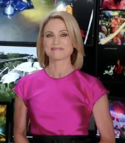 More ABC Anchors Turn On Robach/Holmes 