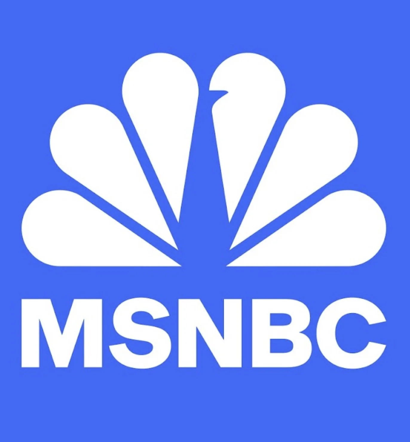 MSNBC Rising...