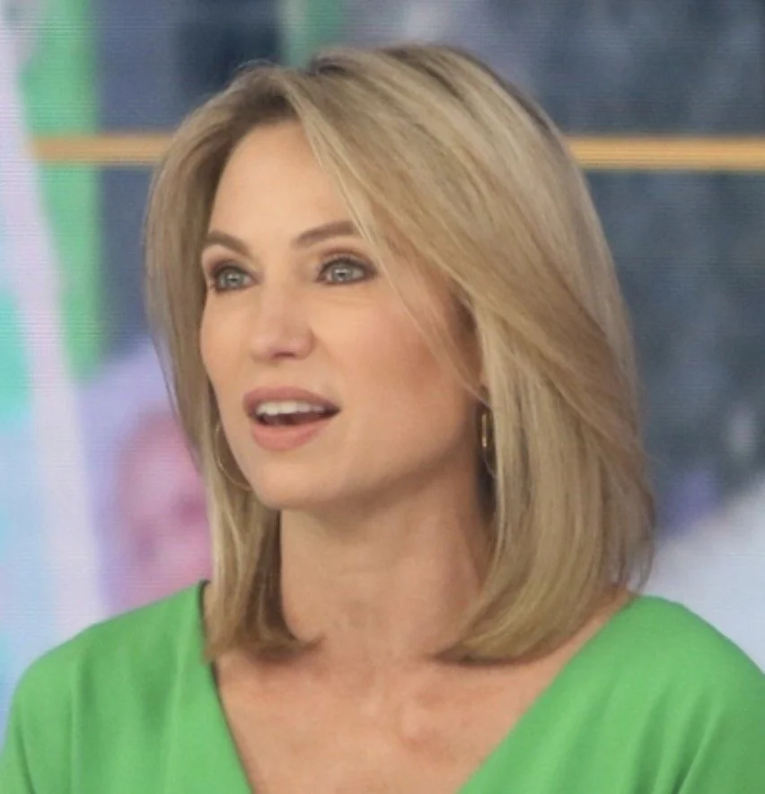News Nation to Hire Amy Robach?