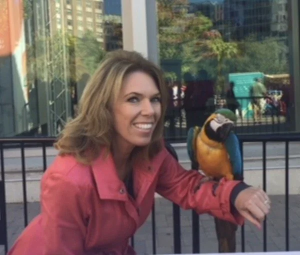 No More Morning WOOD 