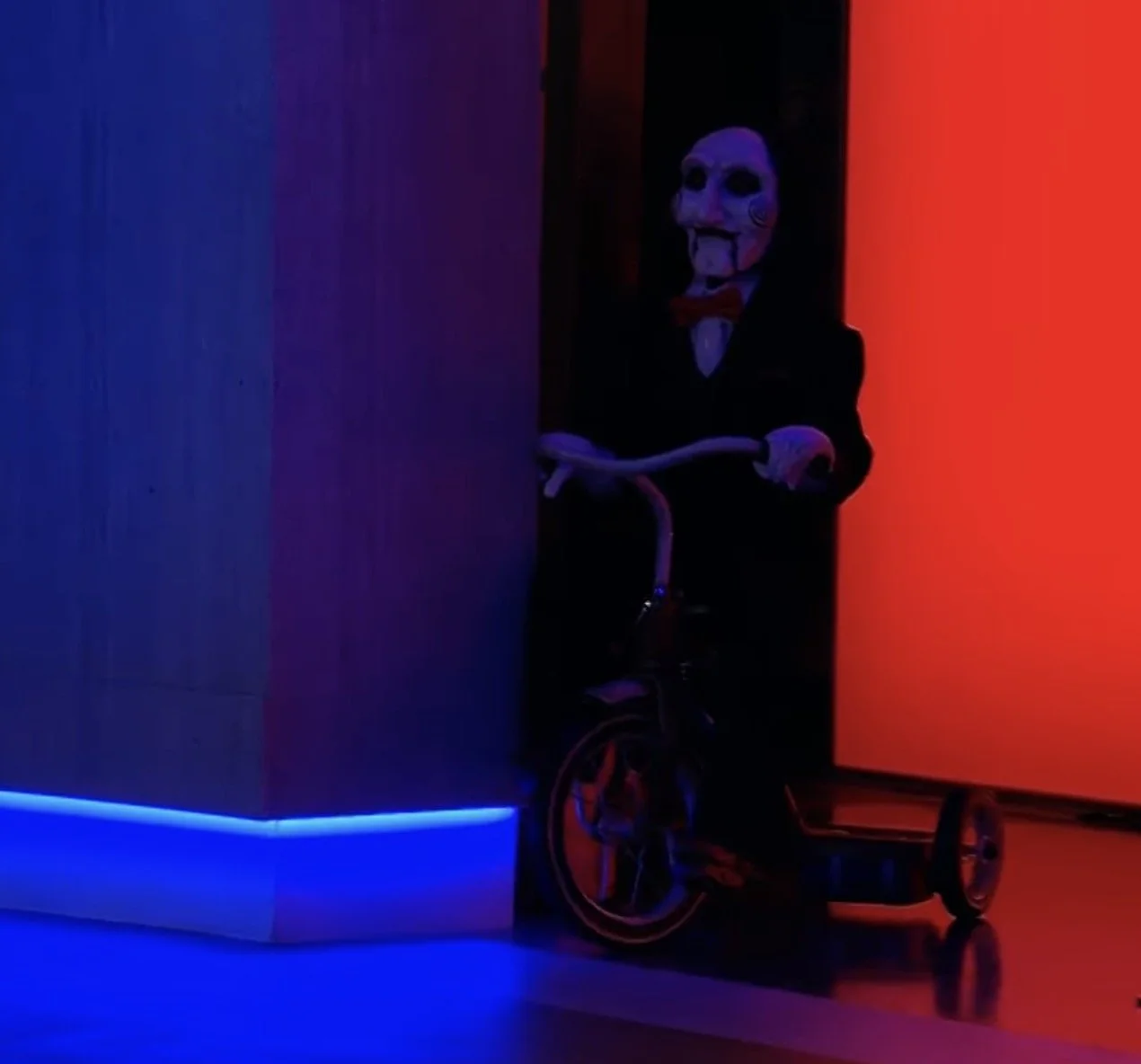 Some  Wonder Why....