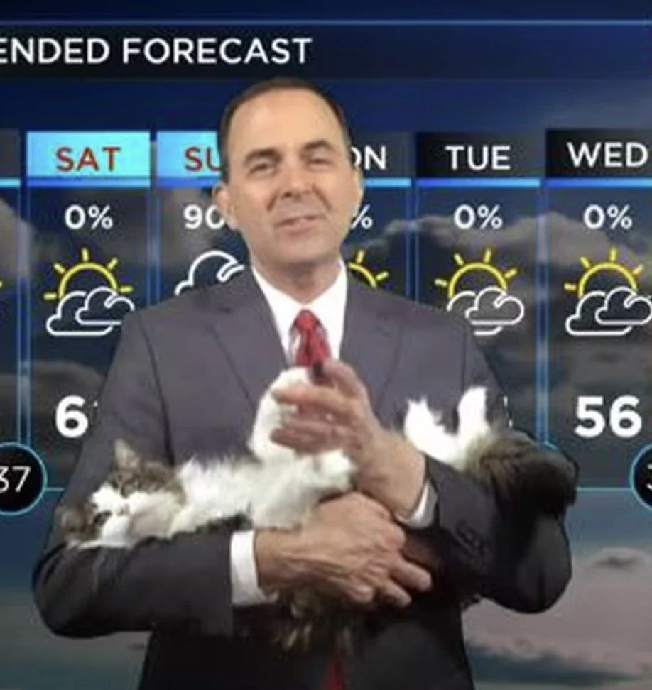 Sad News Out Of Evansville 