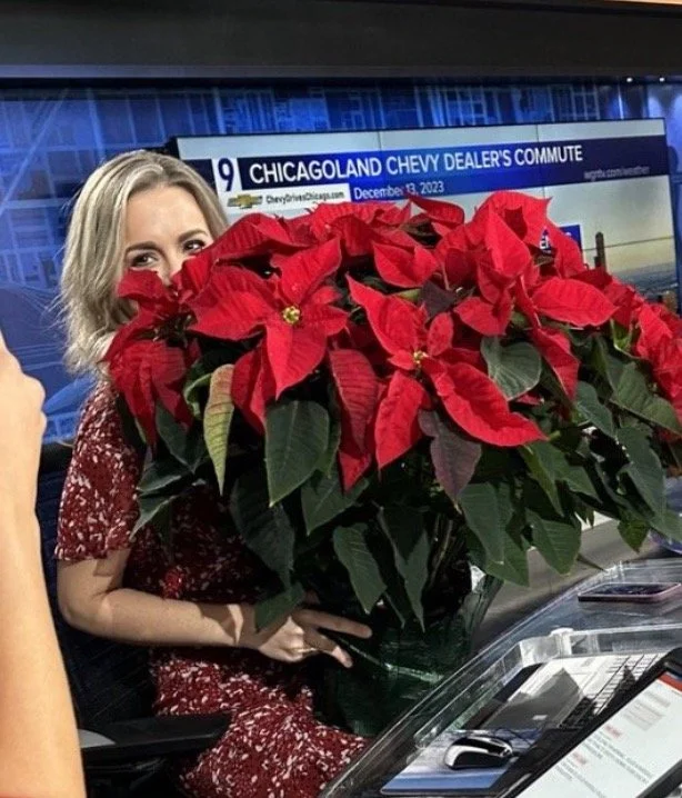 No Flowers on The Set 
