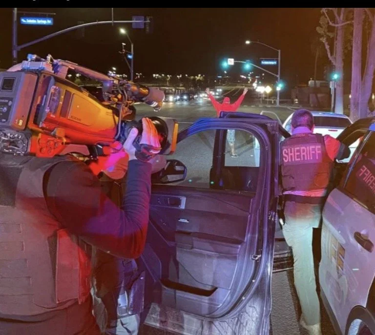 This Would Have Been My Dream Job 