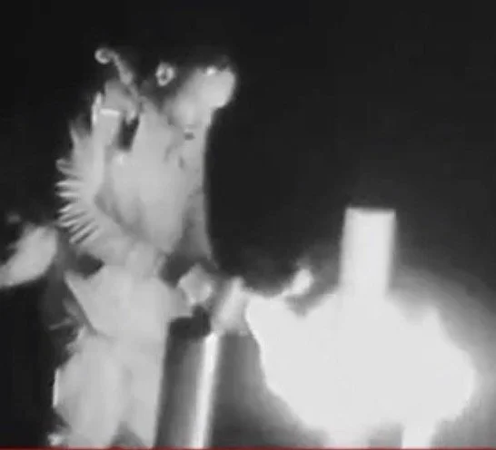 Cops Bust Suspected Torch Artist