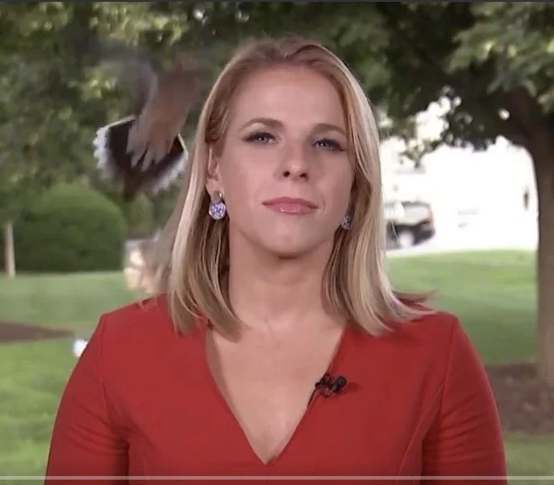 News Nation is for the Birds...