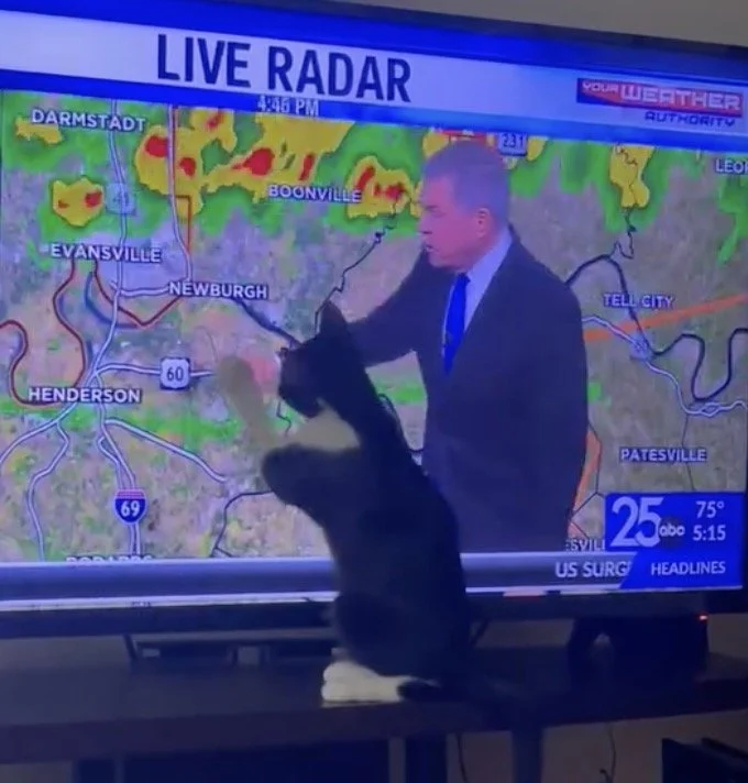 Watch Where You Point