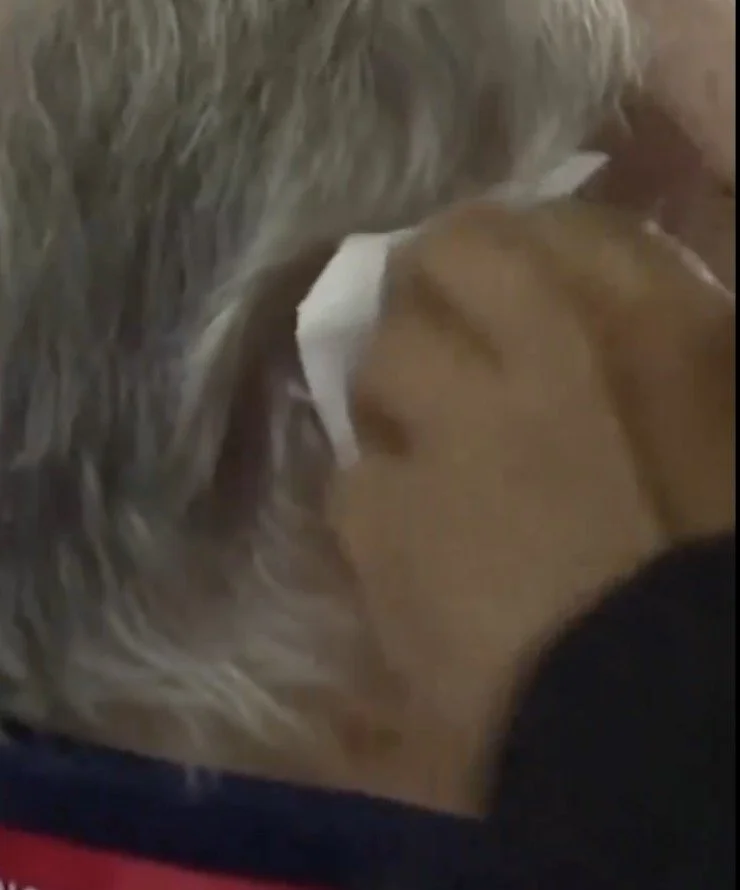 This is Not Normal...