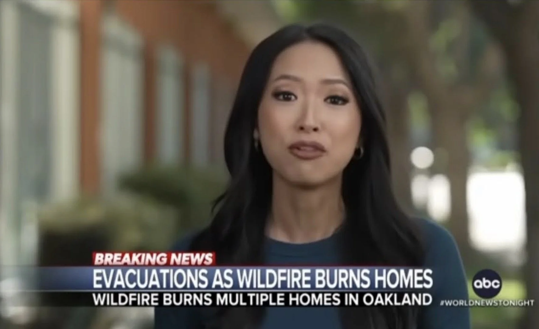 Celebrating the Wildfire 