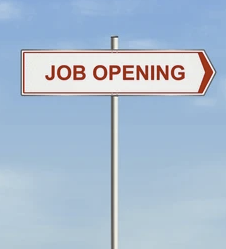 TikTokers Need Not Apply 