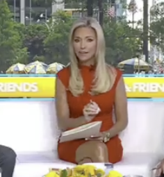 Could Someone at Fox News... 