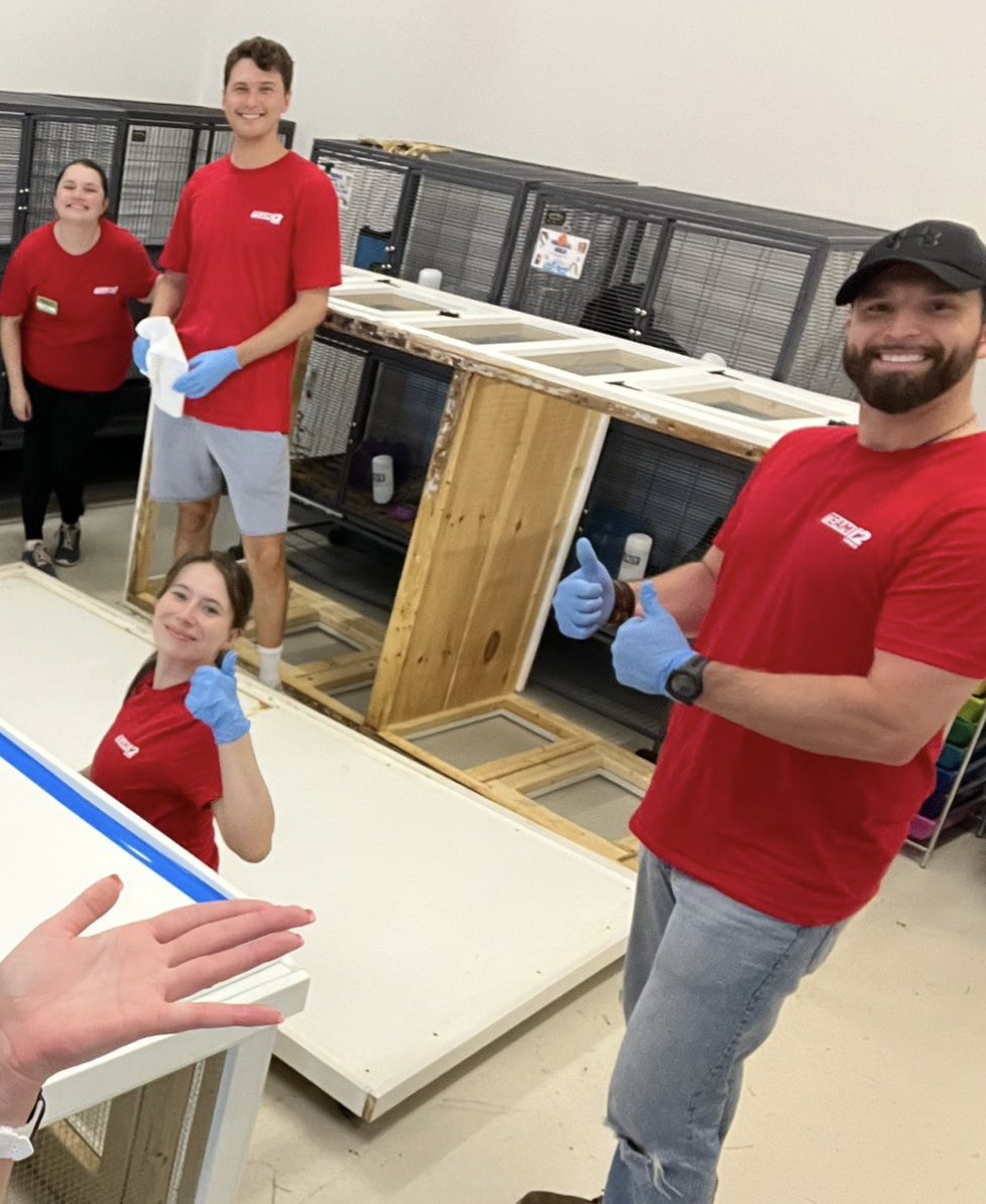 Look How Good We Are! 