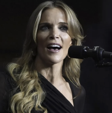 Megyn Kelly Takes Shot at Fox News 