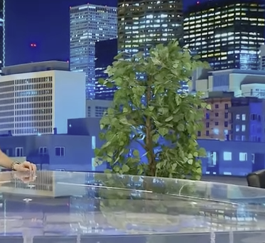 Tegna Anchor Replaced By a Tree 