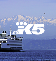 I'm just one more piece of Collateral Damage.