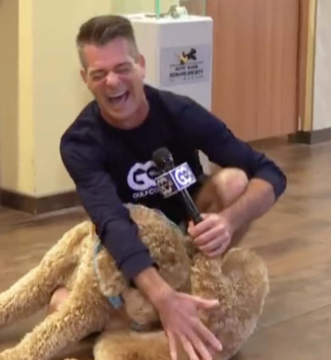 Dogs Don't Care 