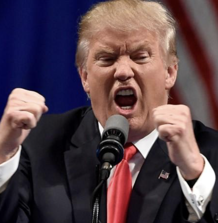 Trump Goes After Another Female Journalist, Wants FCC to "Punish" Her