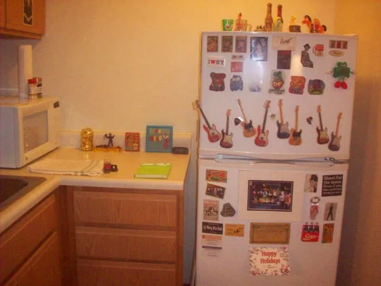 25. fridge_dec13.jpg