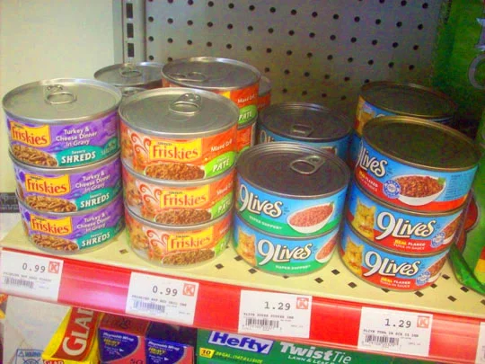 13. catfood_dec26.jpg