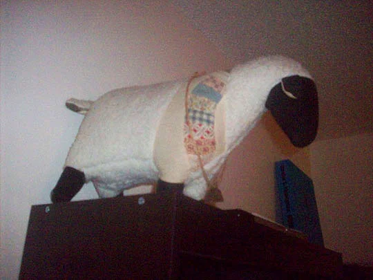 bpsheep_jan2.jpg
