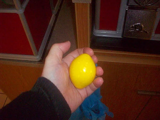 19. lemonget_jan9.jpg