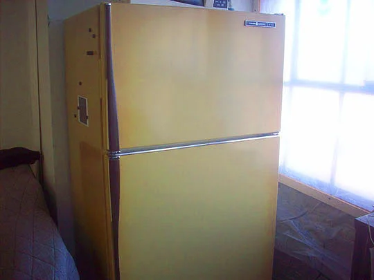 34. fridge_jan16.jpg