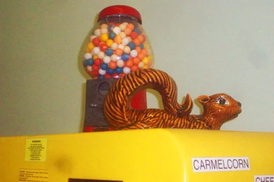 18. sillysquirrelwhere_jan23.jpg