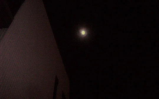 29. fullmoonfever_jan28.jpg