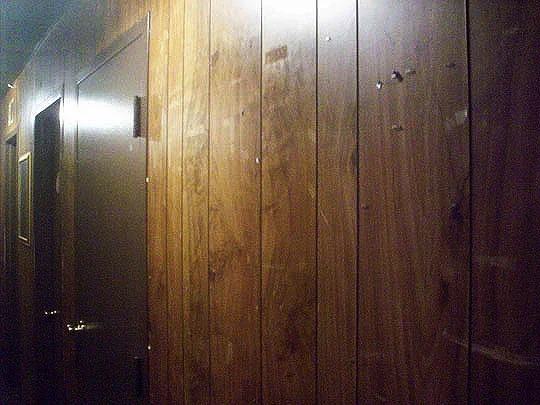 18. paneling_jan29.jpg