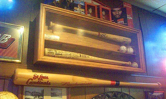 19. bats_feb4.jpg