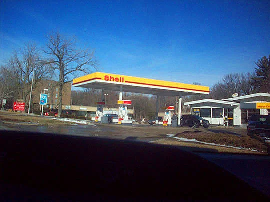 4. shellf_feb6.jpg