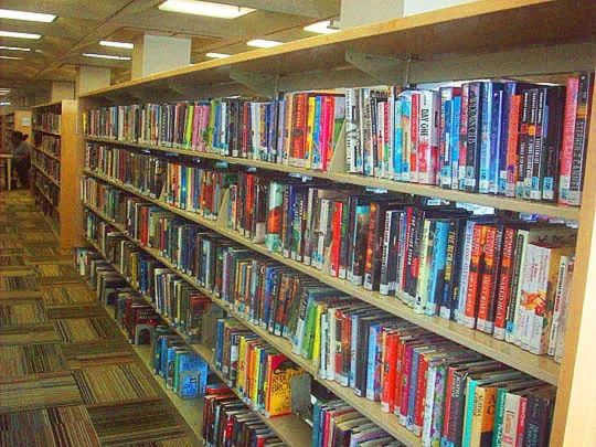 10. booksforthisguy_feb7.jpg