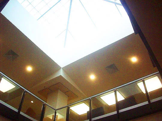 16. skylightoverhead_feb7.jpg