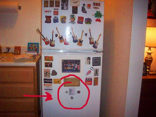 28. myrefrig_feb13.jpg