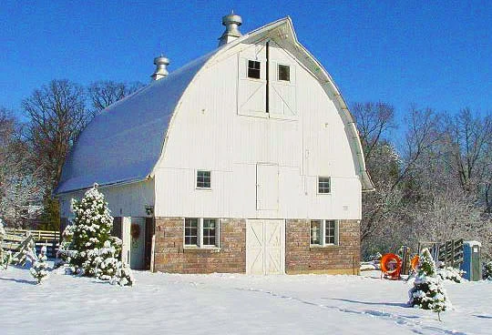 36. aboveaddress_feb20.jpg