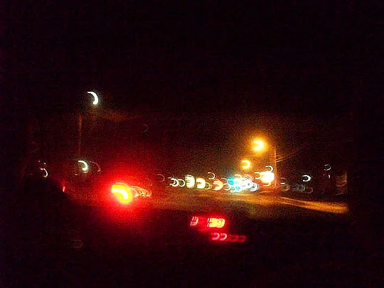 20. homewardbound_March5.jpg