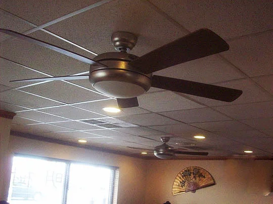 8. ceilingfans_march8.jpg