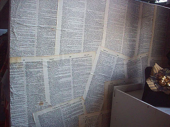 8. dictionary_march14.jpg