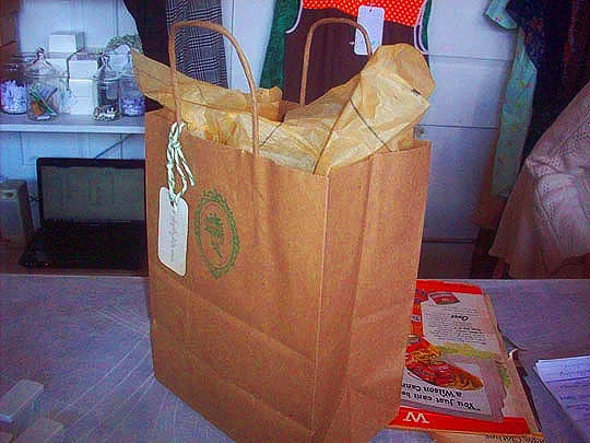 25. baggedup_march14.jpg