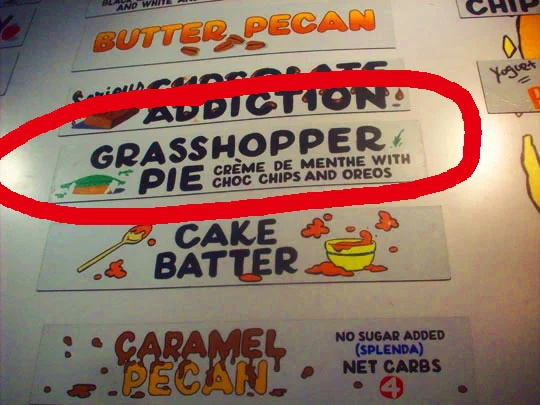 17. grasshopper_may23.jpg