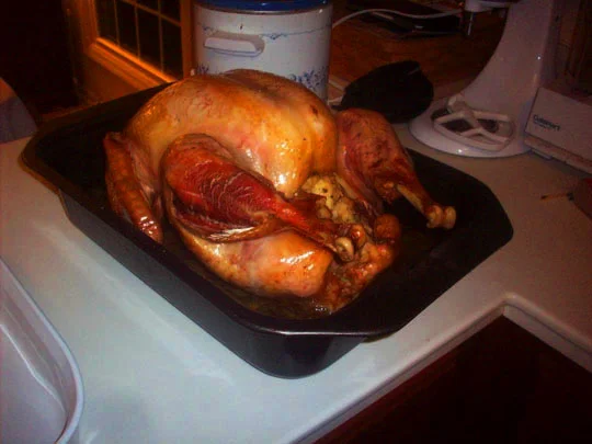 17. bird_Nov29.jpg