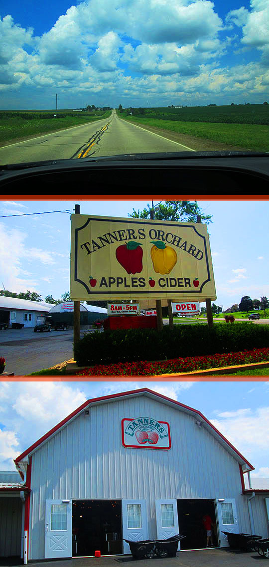 U-Pick Apples - Tanners Orchard