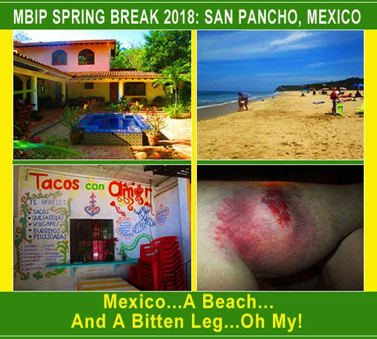 1a. toptitle_april4-18.jpg